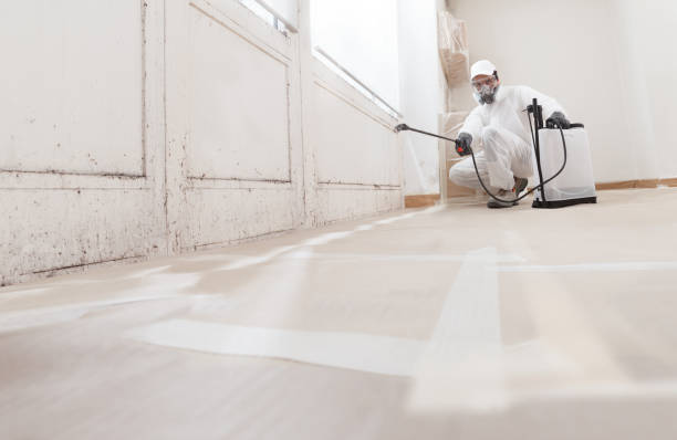 24/7 Emergency Mold Remediation experts in Palatine, IL